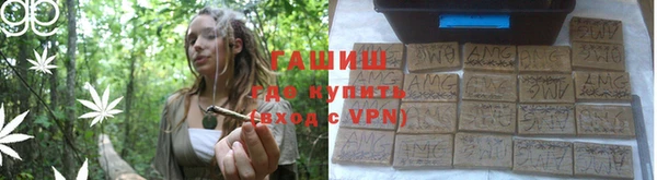 прущие грибы Болохово