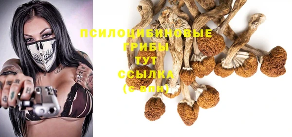 a pvp Михайловск